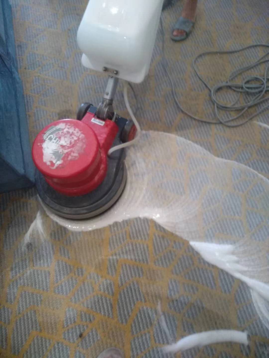 如何清洁地毯