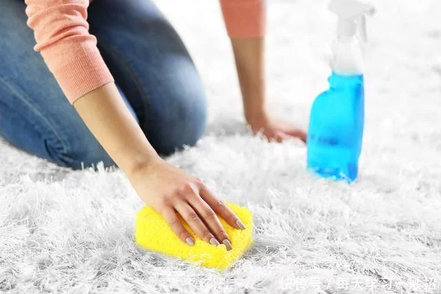 小小地毯难清洗，藏着健康大问题！这样洗地毯轻松又科学
